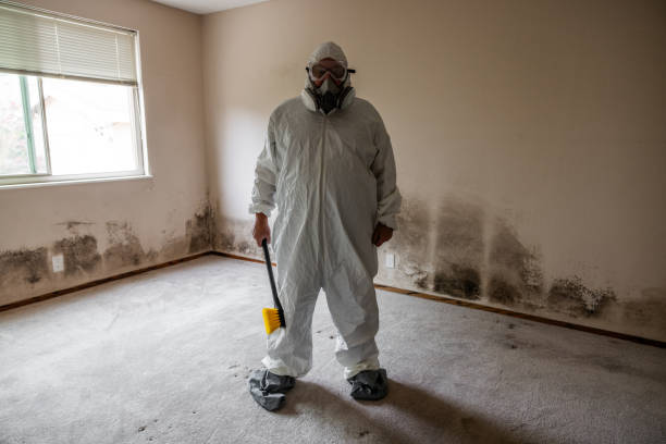 Best Toxic Mold Removal  in Batavia, NY